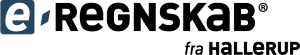 e-regnskab